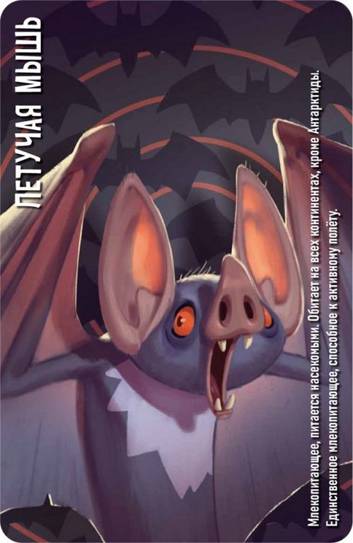 Игра настольная  .8+ с карточками "Similo: Зоопарк" (2+ игроков, 10+ мин)Hobby World