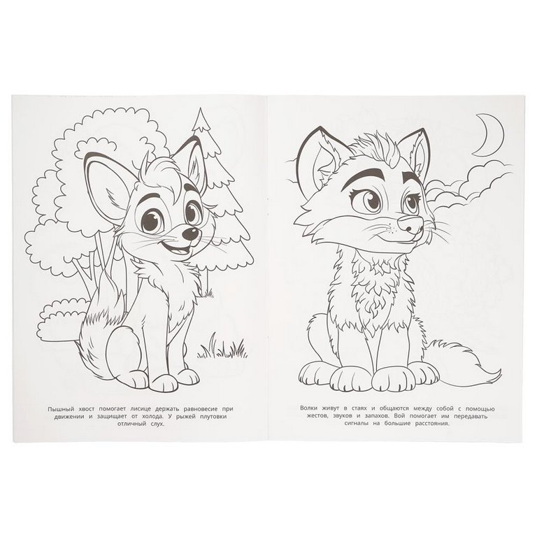 Раскраска А4 "Лесные жители" 16 стр. Умка