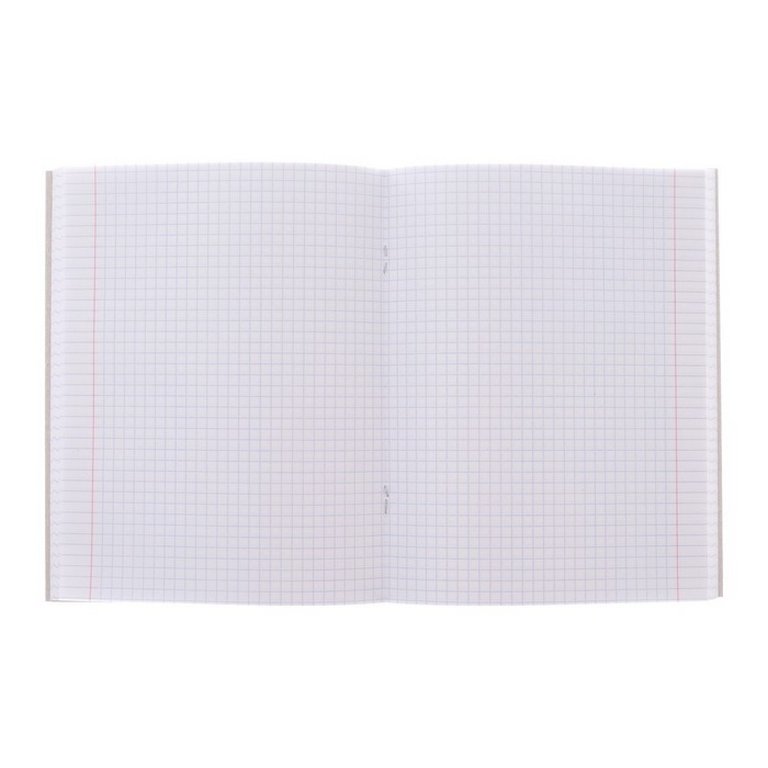 Тетрадь 24 лист кл. А5 "Likee" 5 видов