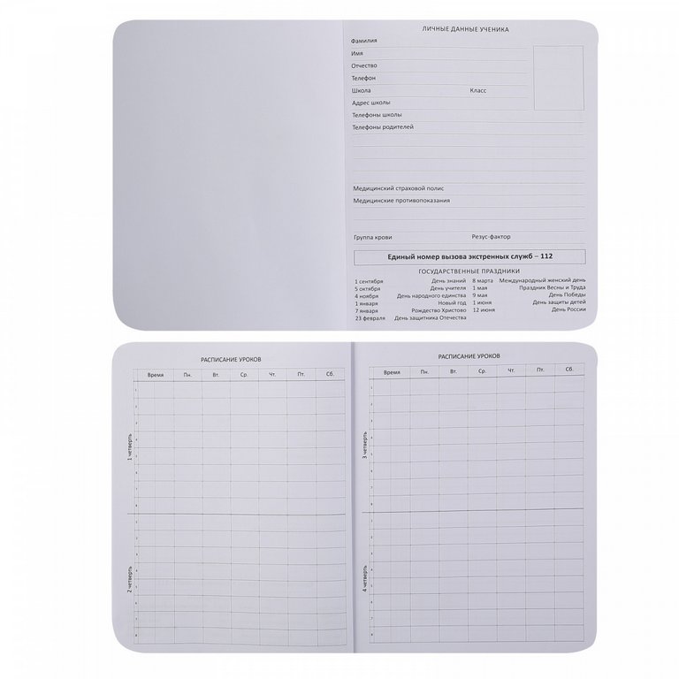 Дневник школьный мягкая обложка, кожзам, шелкография "YES"