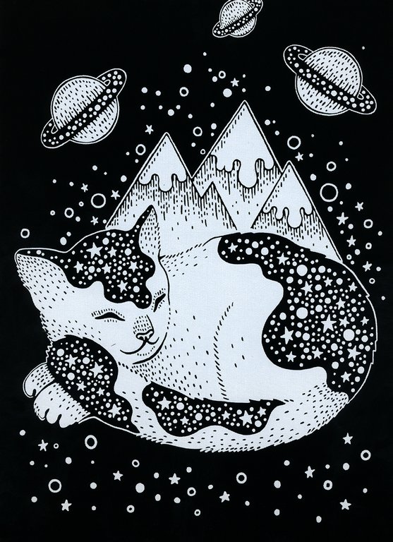 Гравюра-блокнот 14x20 см "Космический кот" Hobbius