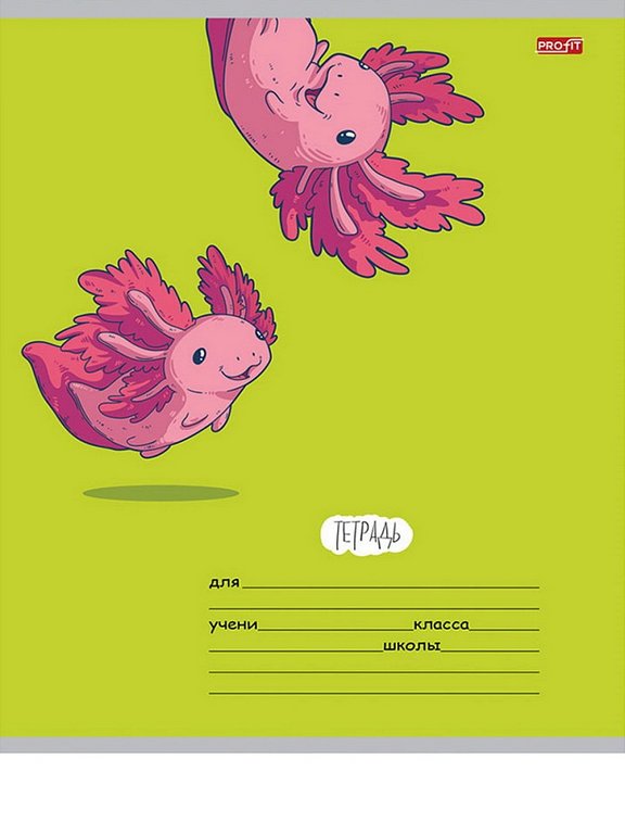 Тетрадь 24 лист кл. А5 "АКСОЛОТЛЬ" ассорти Profit