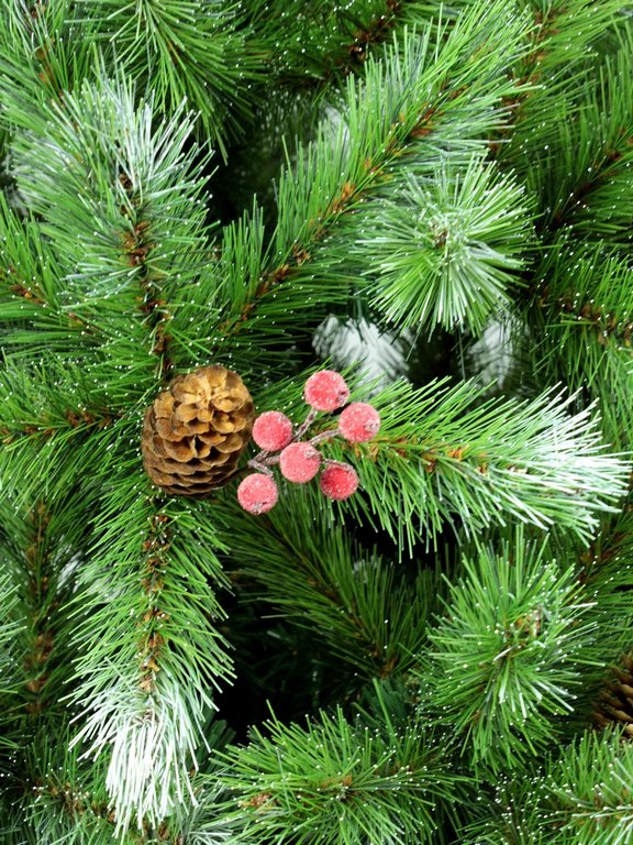 Ель декоративная   0,60 м "Ice Tiffany" в мешке, шишки/ягоды (леска, 90вет., 7яр., d=40см) BEATREES