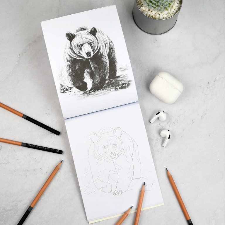 Раскраска А5 "Мои скетчи. Животные"  32 стр Феникс+