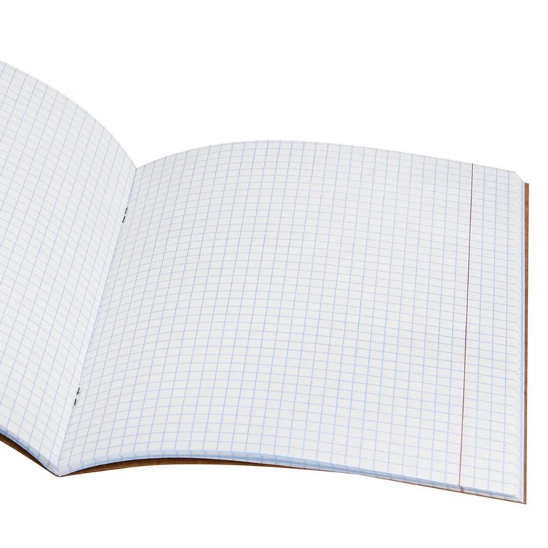 Тетрадь 48 лист кл. А5 на скрепке Prof-Press "РАЗНОЦВЕТНЫЕ МЯЧИ" обложка - крафт