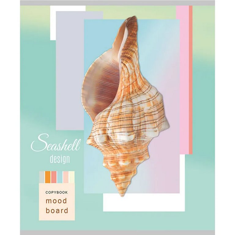 Тетрадь 48 лист кл. А5 на скрепке Collezione "РАКУШКИ СО ДНА"  цвет. мелов. обл.