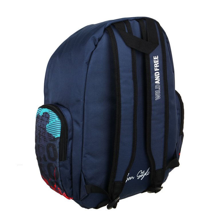 Рюкзак молодежный мужской 42*29*14см "Wild and Free" 1 отд., 2 карм.