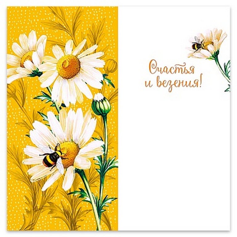 Открытка евроформат "С Днем рождения!" без текста