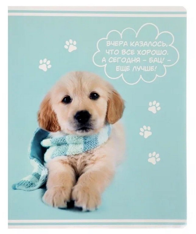 Тетрадь 60 лист кл. А5 на скрепке "Rachael Hale"