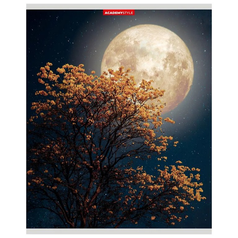 Тетрадь 80 лист кл. А5 на скрепке "Фантастическая Луна"