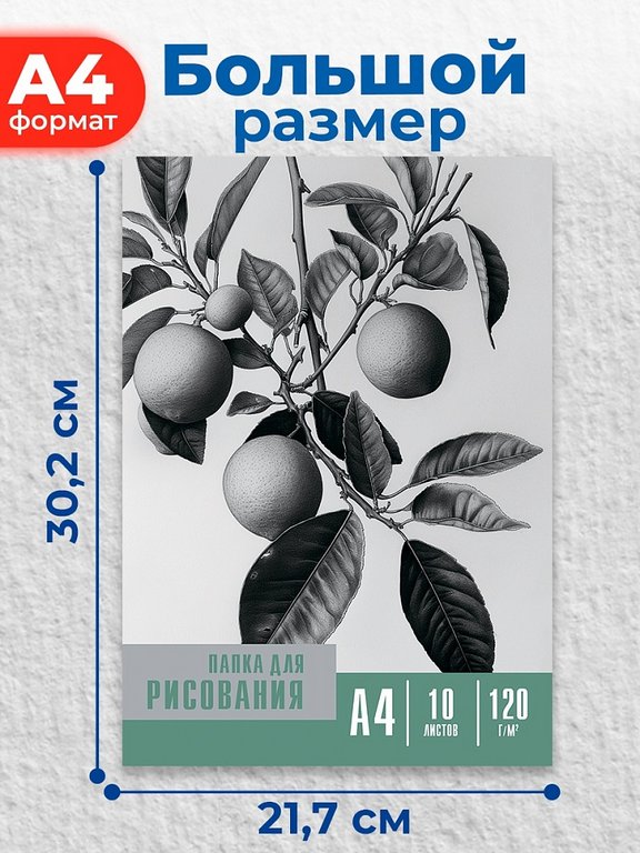 Папка для рисования А4, 10л., 120г/м "Черно-белые мотивы - 3"