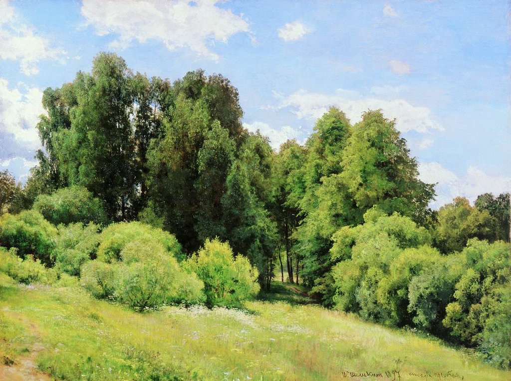Постер на бумаге 30*40см, И.И. Шишкин "Лесная поляна (Полянка)" 1897г.