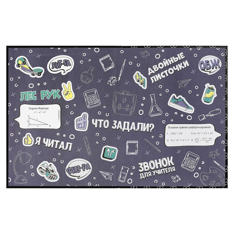 Дневник школьный твердая обложка, глянц. ламин. "Все ОК" 48л.