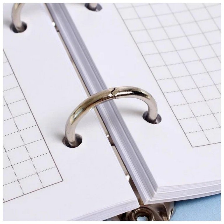 Тетрадь 80 лист кл. А5 на кольцах "Дружба"