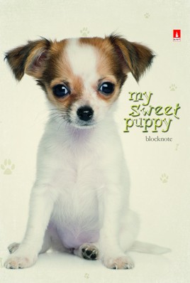 Блокнот А7  40л.,  68*104 мм, на гребне "Чудо-Щеночки"