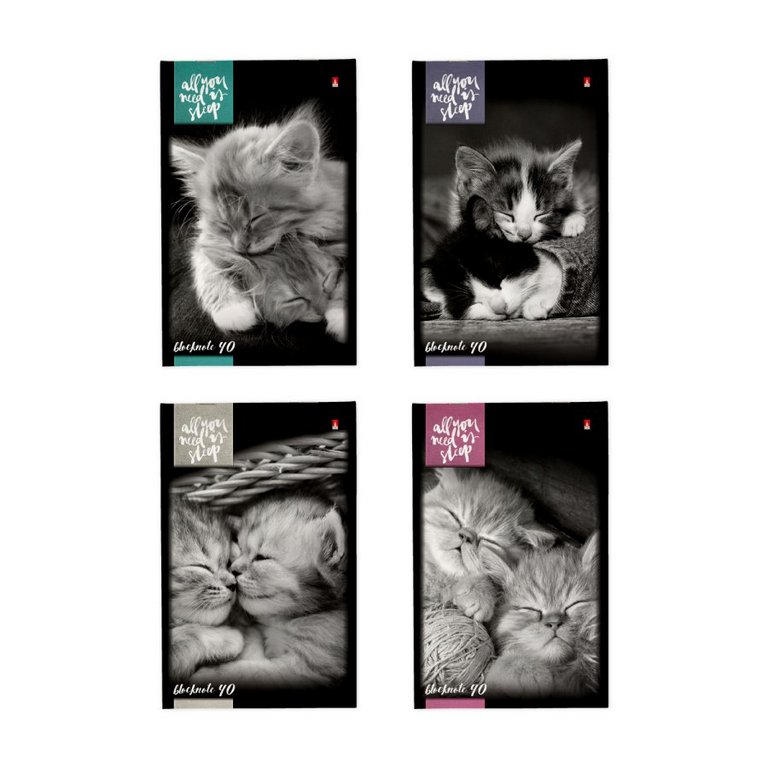 Блокнот А5  40л., 148*210 мм, на скрепке "КОТЯТА"