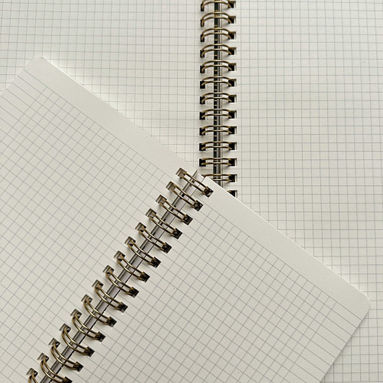 Тетрадь 60 лист кл. А6 на гребне, "МАКИ НА ЗЕЛЕНОМ"