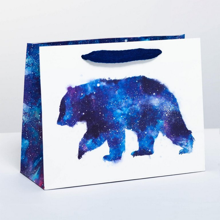 Пакет бумажный горизонтальный 23*18см ламинированный "Мишка"