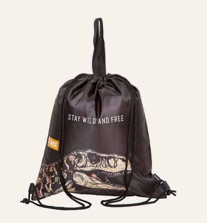 Сумка для обуви для мальчика 43*38 см deVENTE "T-Rex"