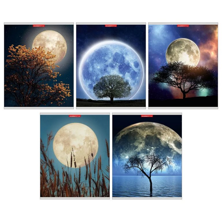 Тетрадь 80 лист кл. А5 на скрепке "Фантастическая Луна"