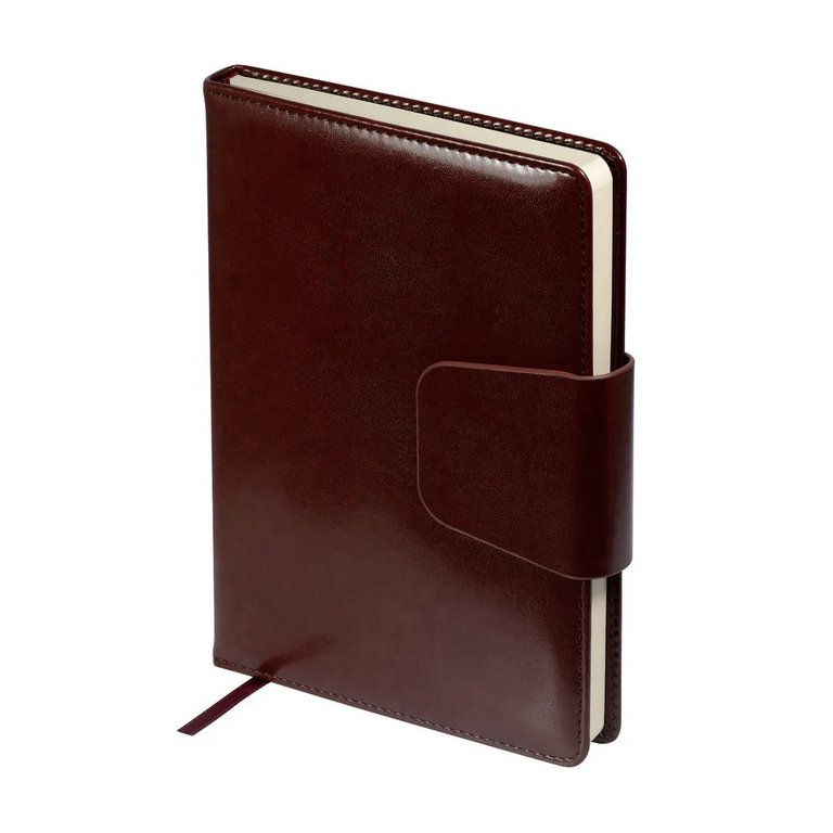 Ежедневник без дат 148*210 мм Bruno Visconti Prestige, коньяк