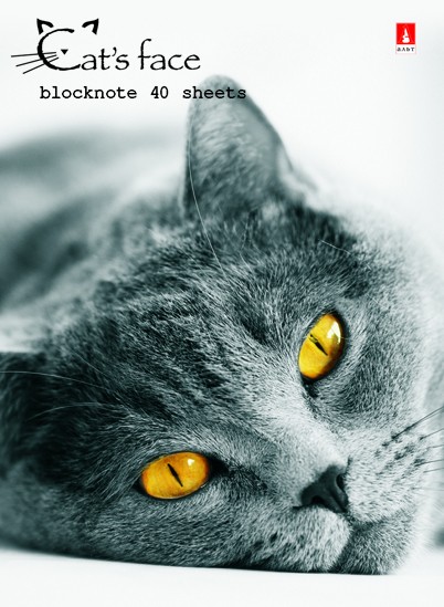 Блокнот А7  40л.,  68*104 мм,  на гребне "Кошачий взгляд"