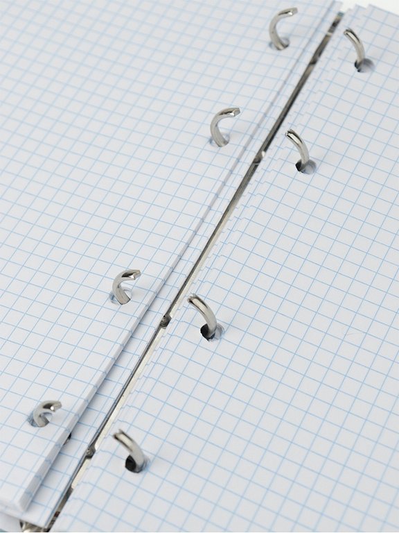 Тетрадь 80 лист кл. А5+ на кольцах "ГОЛУБОГЛАЗАЯ КОШКА" тв. обл. Проф-Пресс