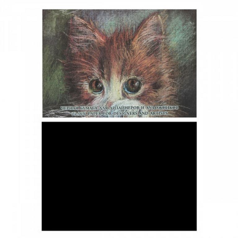 Папка для рисования А4, 10л. 200 г/м, тонированная черная бумага