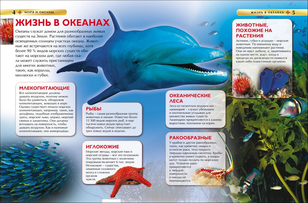 Энциклопедия 7+ "Моря и океаны" Росмэн