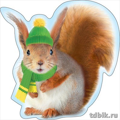 Наклейка оформительская на скотче зимняя "Белочка в шапочке" 194*194мм