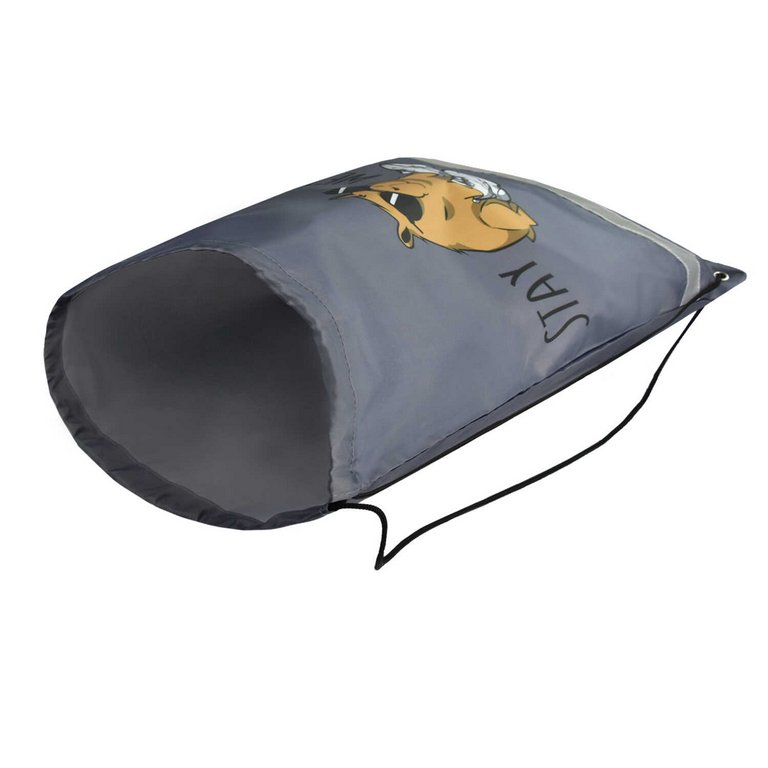 Сумка для обуви для мальчика 48*36 см Феникс+ "Чудная капибара"