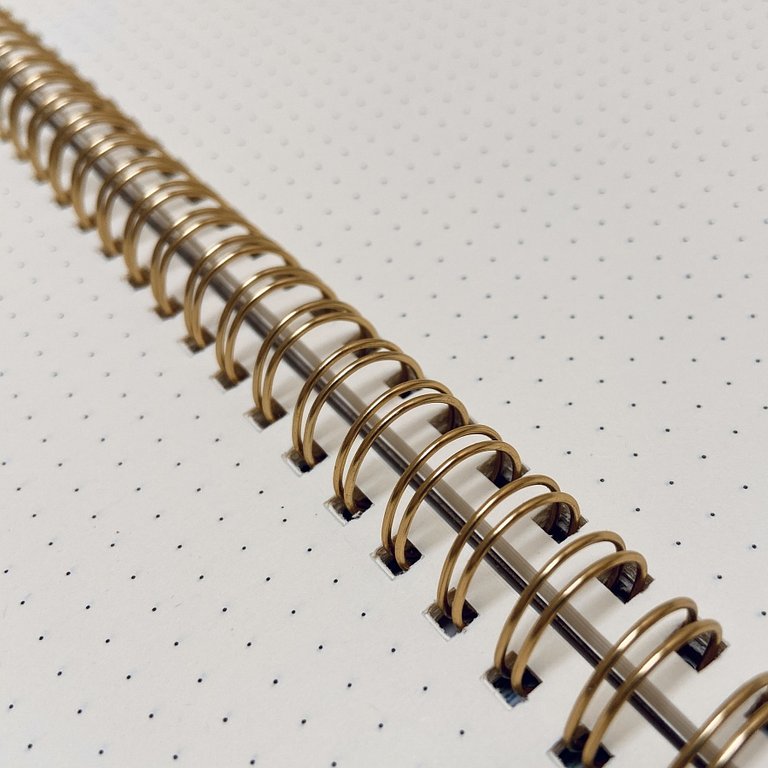 Тетрадь 60 лист в точку А5 на гребне "FAUNA.КИТЫ" Bruno Visconti