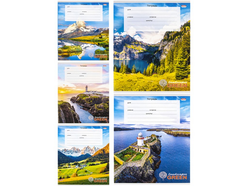 Тетрадь 12 лист кл. А5 "ВОСХИТИТЕЛЬНЫЙ ВИД-1" 5 ВИДОВ