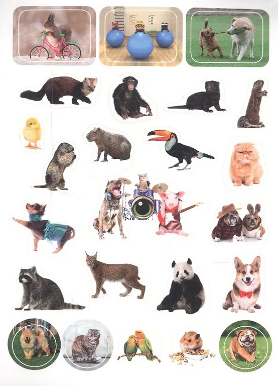 Набор наклеек 100 шт "Забавные животные" ПРОФ-пресс