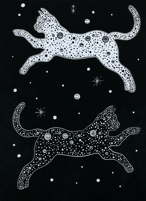 Гравюра-блокнот 14x20 см "Космический кот" Hobbius