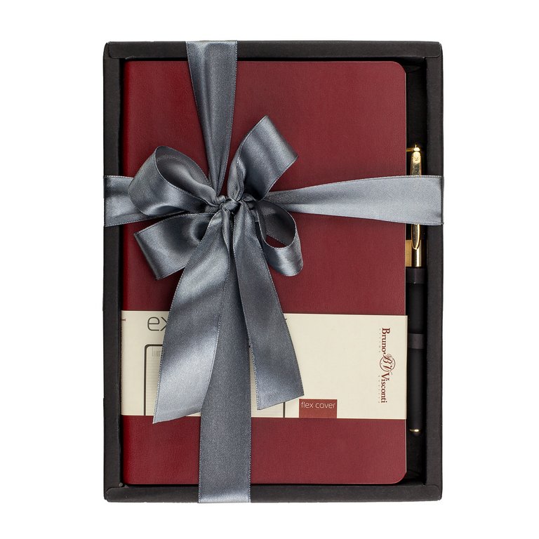 Набор подарочный BrunoVisconti "VINCENT" (БОРДОВЫЙ ЕЖЕДНЕВНИК А5 + РУЧКА)