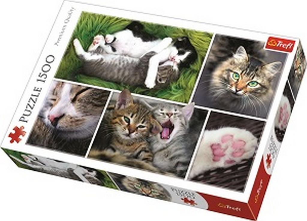 Пазлы 1500 дет. "Кошки-коллаж" Trefl