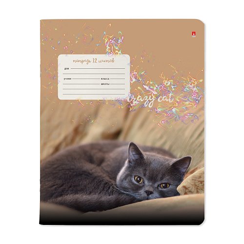 Тетрадь 12 лист кл. А5 "УДИВИТЕЛЬНЫЕ КОТЯТА"