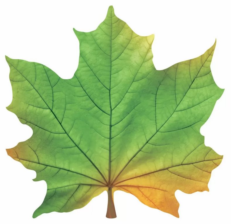 Наклейка оформительская на скотче осенняя 140*140мм "Кленовый лист" зеленый