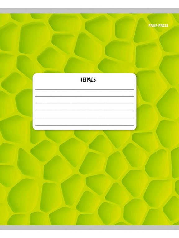 Тетрадь 18 лист кл. А5 "ЦВЕТНЫЕ АБСТРАКЦИИ" ассорти Prof-Press