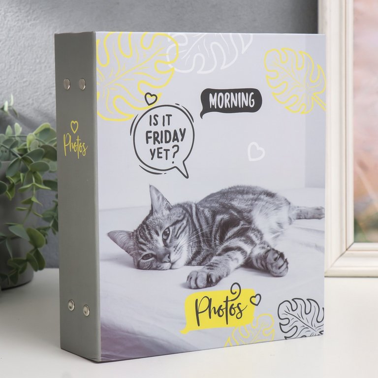 Фотоальбом 200 фото 10*15см "fluffy pets. Муррр" 23,5*17 см обложка картон, ПП карман