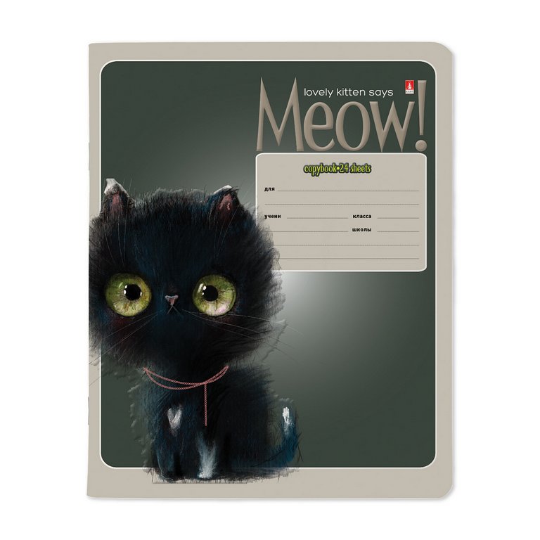 Тетрадь 24 лист кл. А5 "KITTY LIFE" 5 ВИДОВ