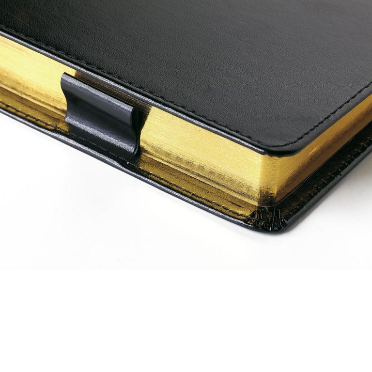 Ежедневник полудат. 148*210 мм Bruno Visconti "Profy", со сменным блоком, коричневый