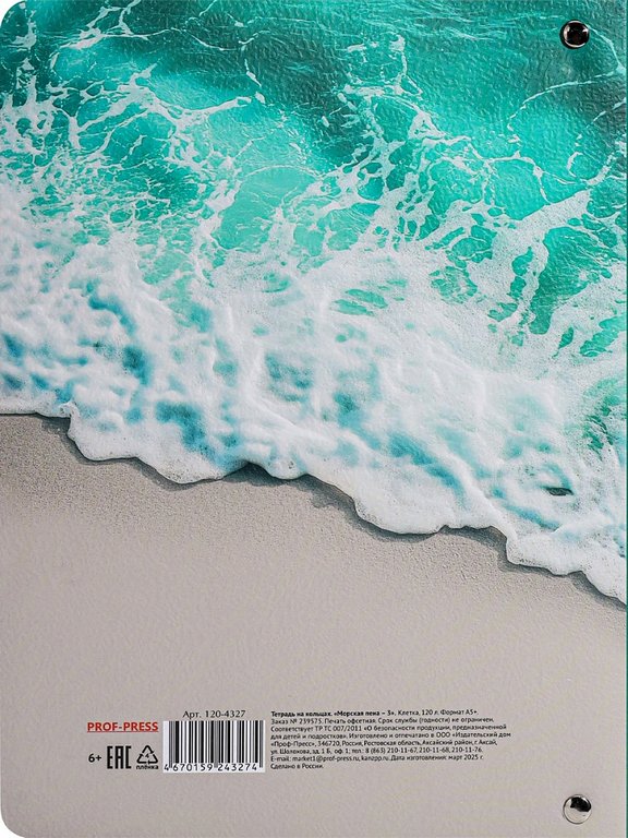 Тетрадь 120 лист кл. А5+ на кольцах "МОРСКАЯ ПЕНА" тв. обл. Проф-Пресс
