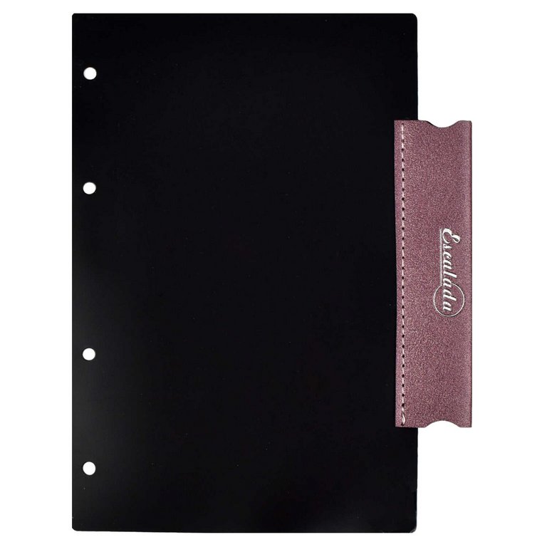 Разделитель сменный для кредитных, дисконтных карт, пропусков, кожзам, пластик черный