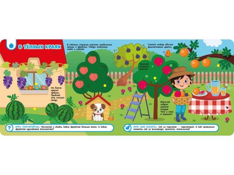 Книга с липучками "Фрукты и овощи" Росмэн