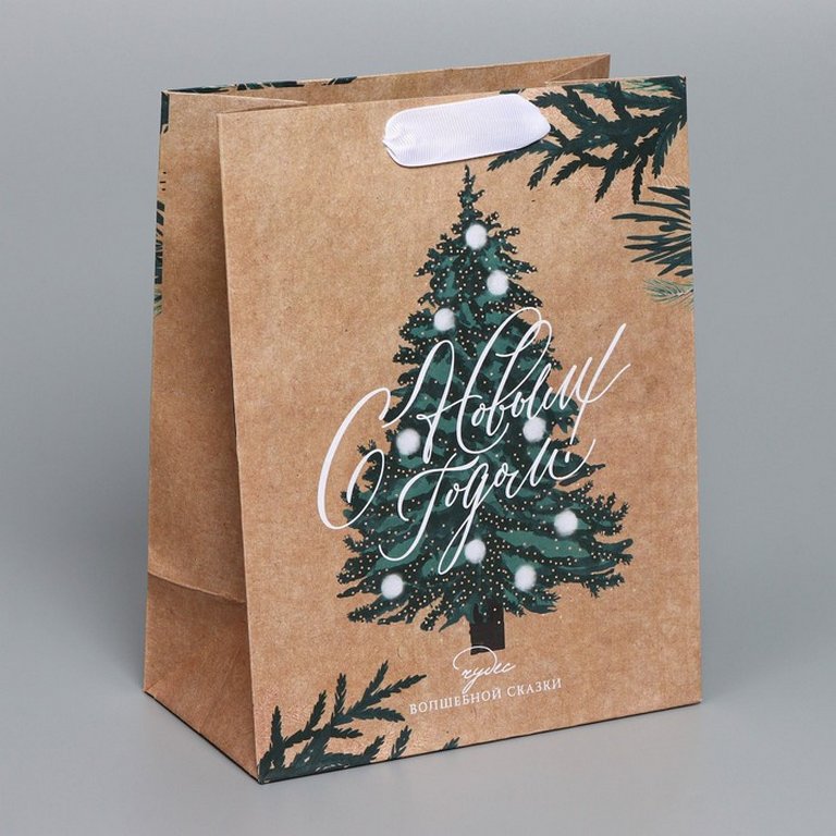 Пакет бумажный НГ 18*23см крафт "Winter"