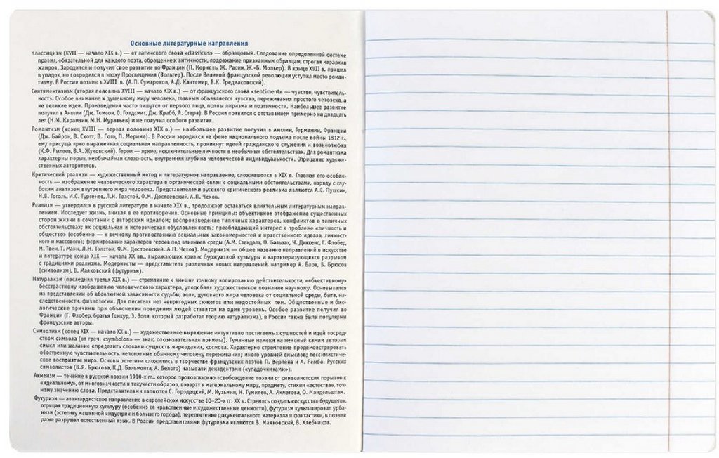 Тетрадь 48 лист лин. А5+ на скрепке, со справ. мат-ом "ФРАЗЫ С ХАРАКТЕРОМ. ЛИТЕРАТУРА"
