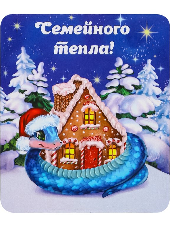 Символ 2025г Магнит "Новогодние змейки" 65,5*77 мм (ассорти)