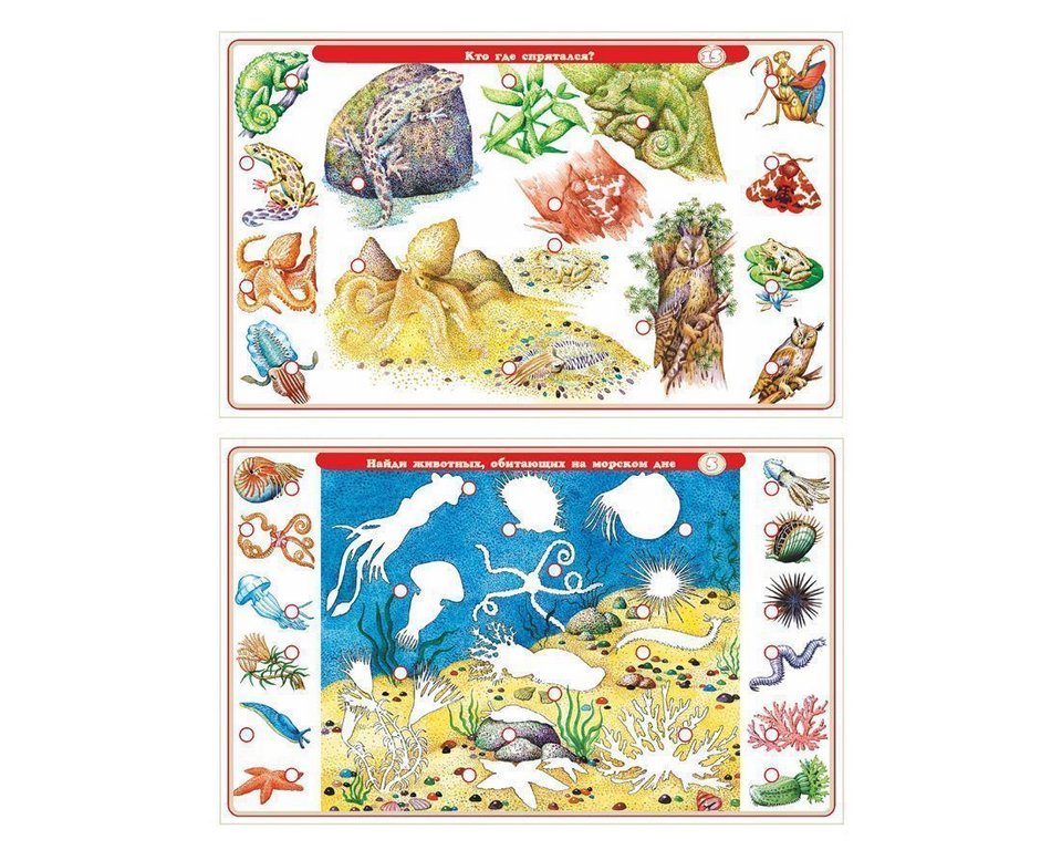 Электровикторина Набор карточек 5-12 лет "Детям о животных" Дрофа МЕДИА